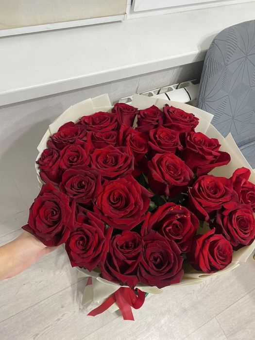 цветы, свежие, метровые розы