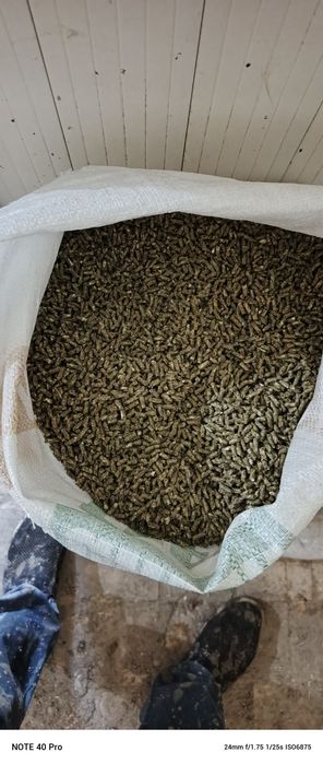 куёнлар учун корм