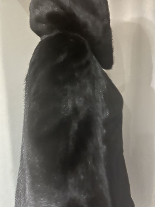 Продам шубу норка