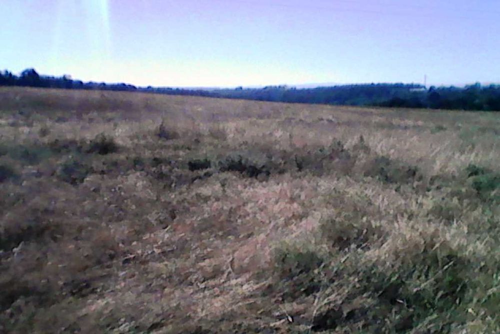 Продава се Земеделски имот в Пловдив, Тракия -  кв.м за 715 €/дка - Снимка #14