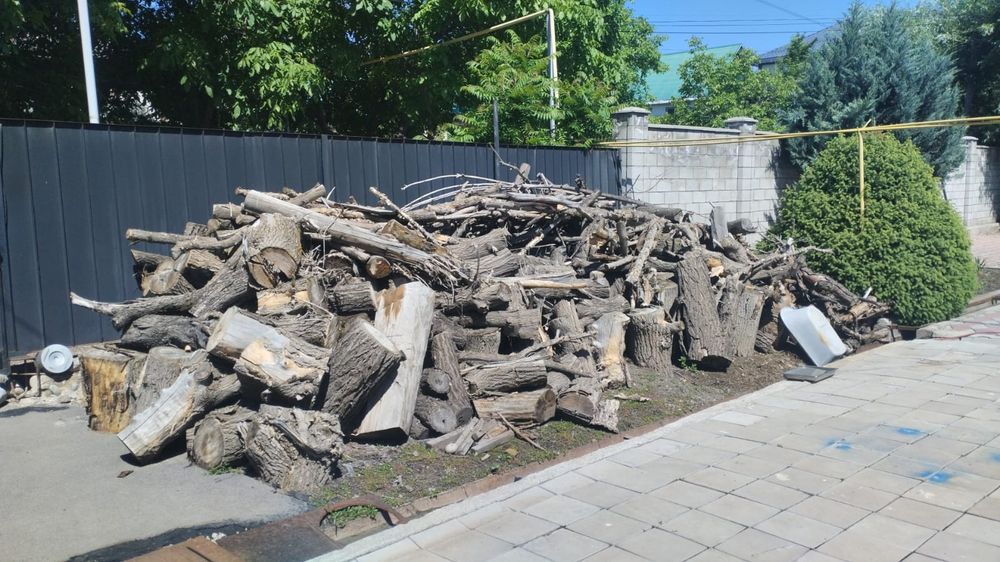 Дрова продам сухие