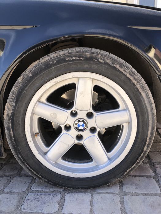 Продам Шницера 17 размер с балонами