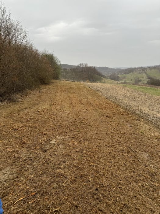 Defrisare terenuri pasuni, spini,maracini