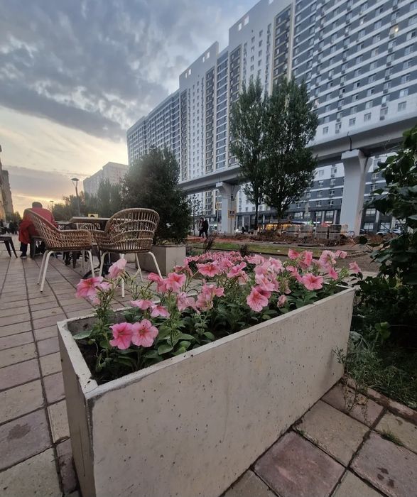 Деревья, цветы, газон