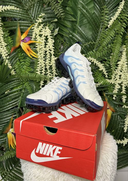 Nike Vapor Max Plus Gradient Blue