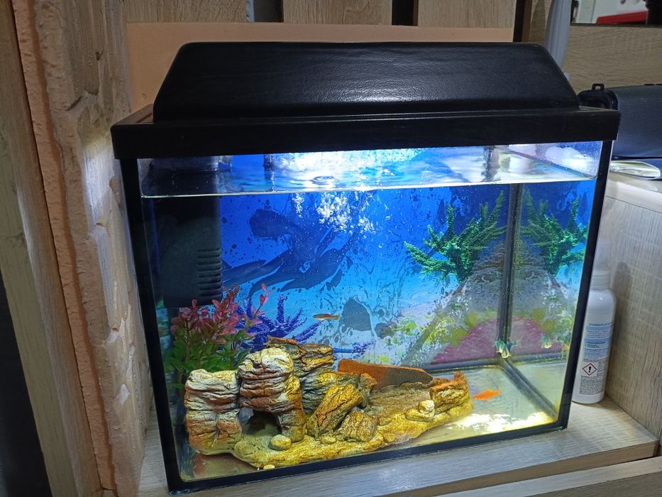 Продам аквариум 20л