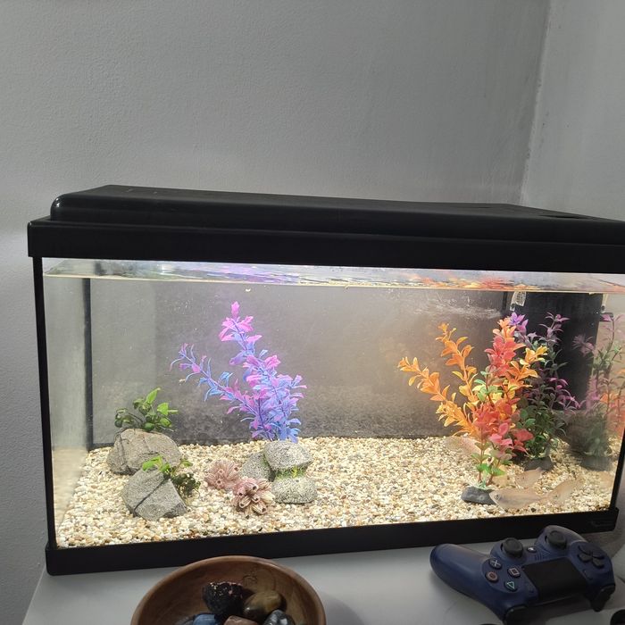 Acvariu complet 60 l