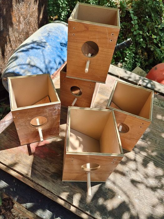 Cuiburi pentru pasari de colivie