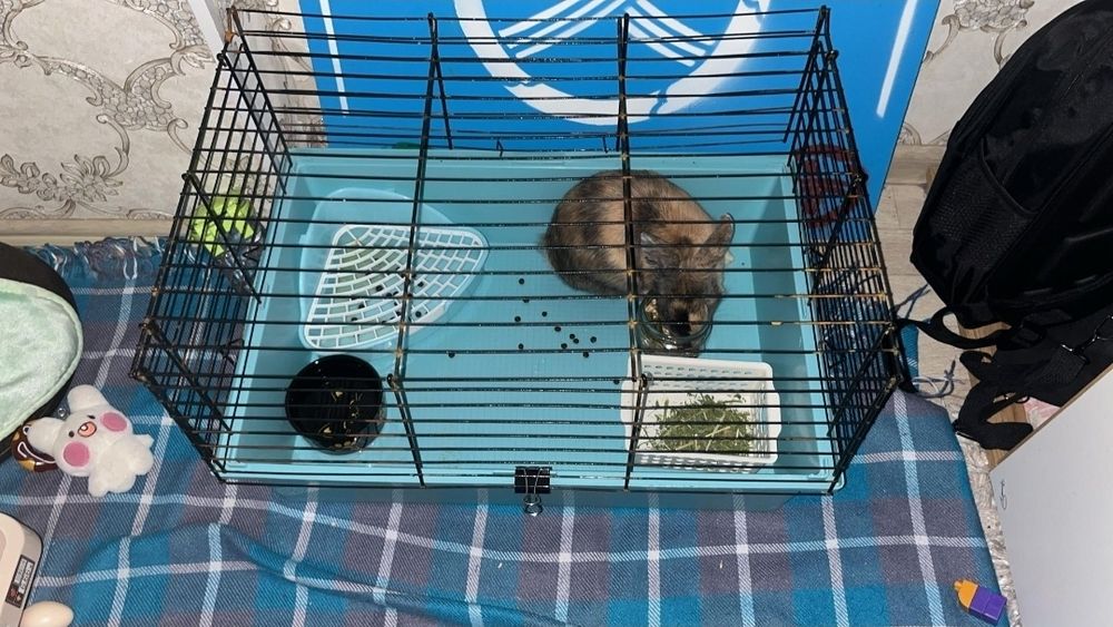 Клетка для кролика