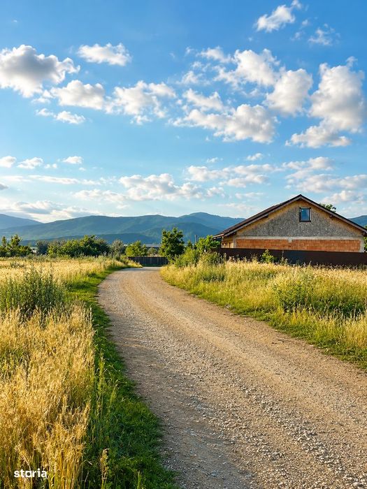 Teren 5.000 mp – Tărlungeni, zona Cărpiniș | Investiție cu potential!
