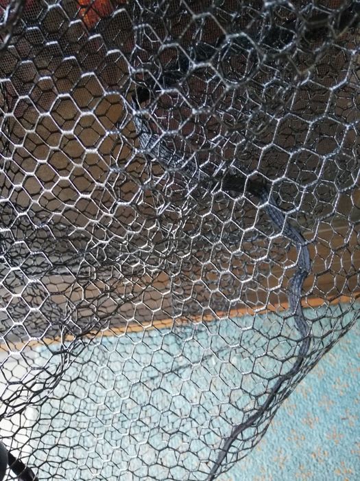 Minciog barca Anaconda