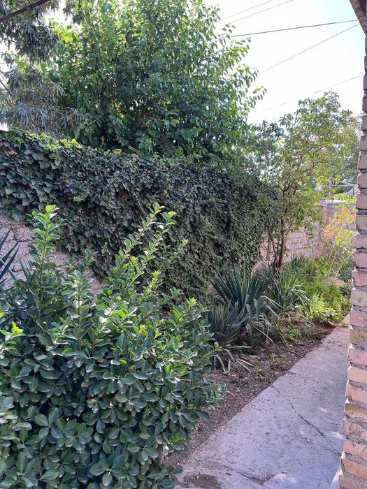 Продается дом в хорошем состоянии 8 комнат в г. Сырдарья