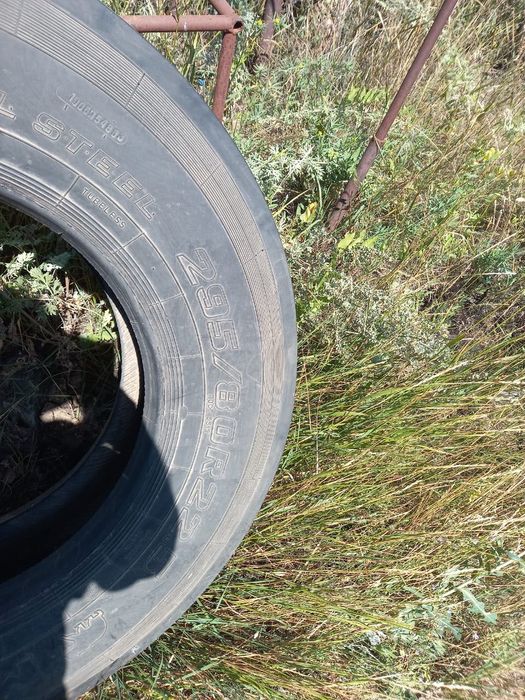 Шина от автобуса