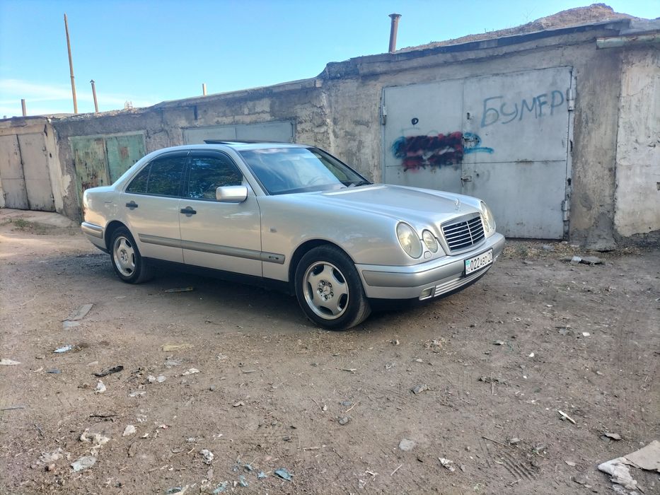 Продам живой Лупарик