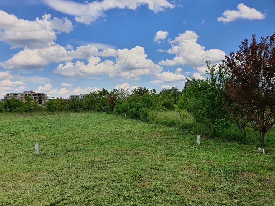 Teren Pipera proprietar