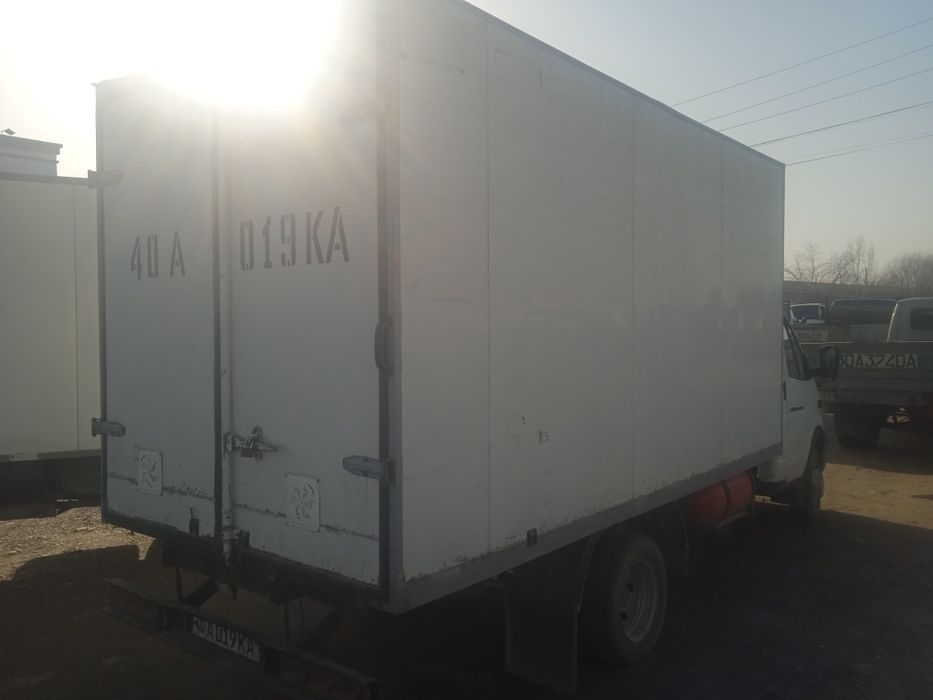 Gazel butka sotiladi