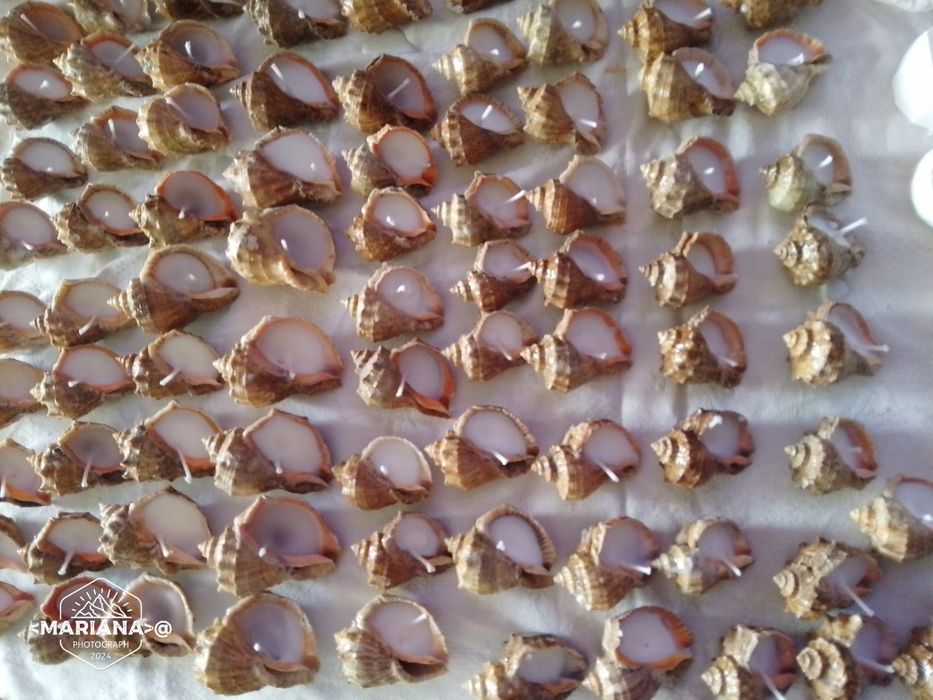 Свещи за подарък