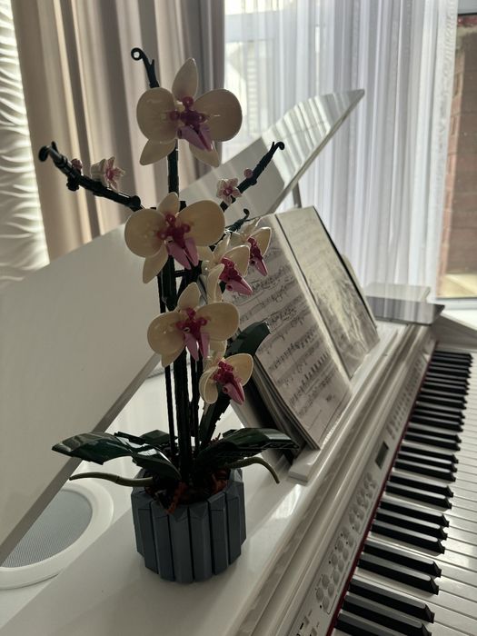 Обучение игре на пианино