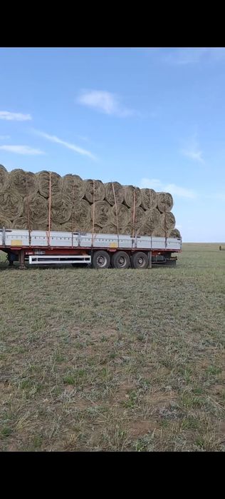 Продам сено в рулонах с доставкой