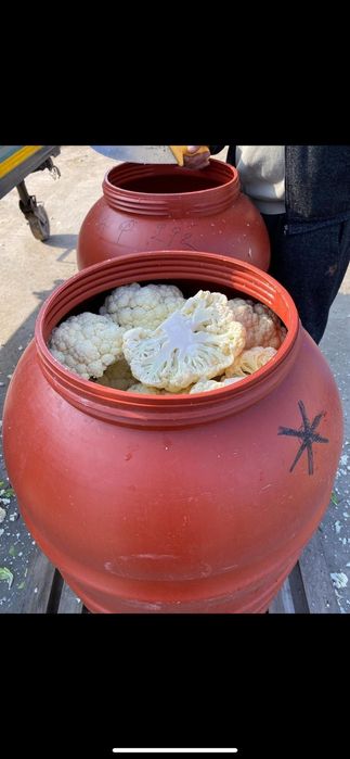 Butoaie de plastic groase alimentare italia