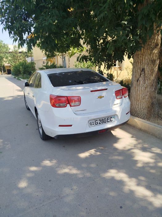 malibu 1 mexanika 2 pazitsia