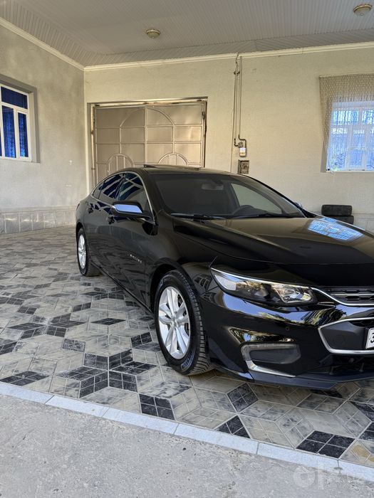 Malibu 2 xolati ideal