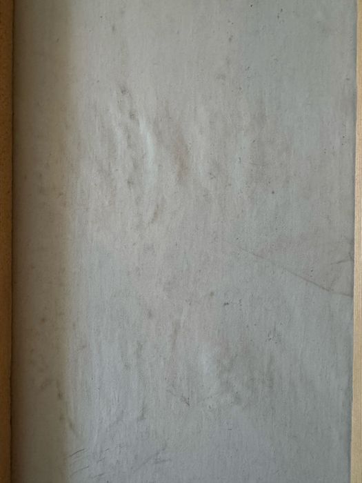 Картина - Слон ( масло)