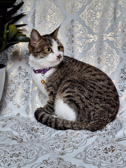 Только самым ответственным