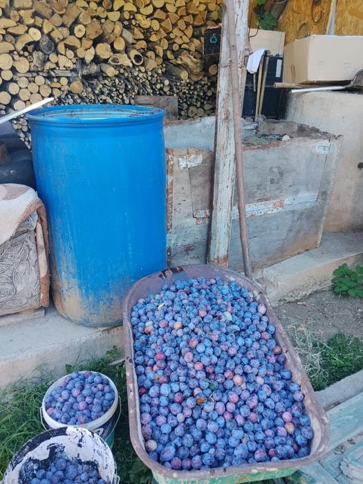 Pune de vânzare sau schimb cu cereale
