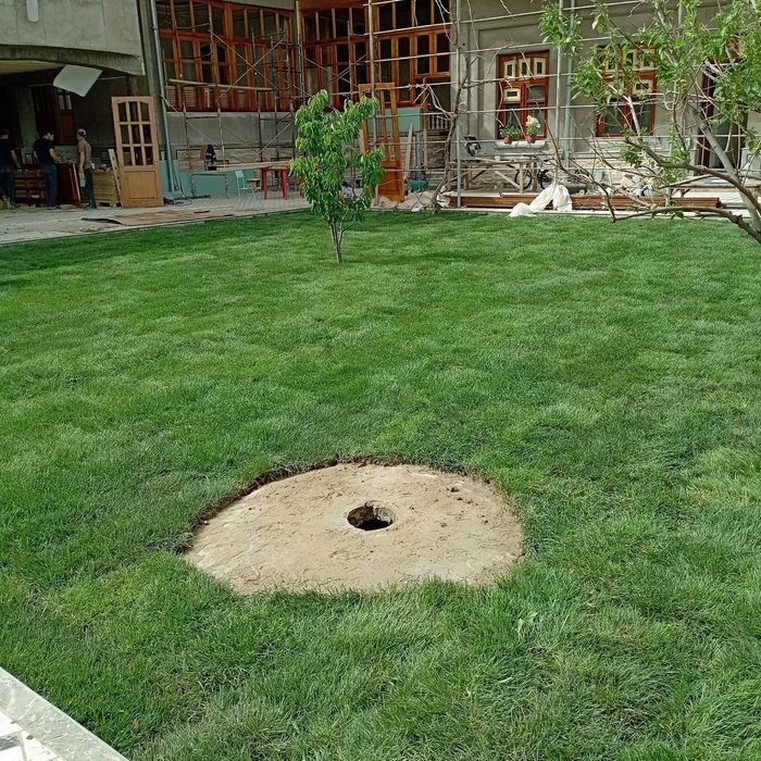 Сифатли газон  арзон нархда