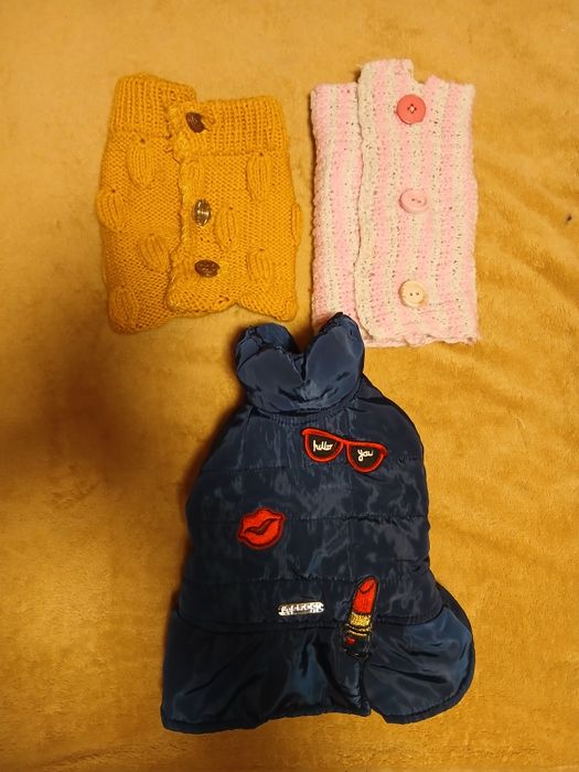 Дрешки за малко кученце