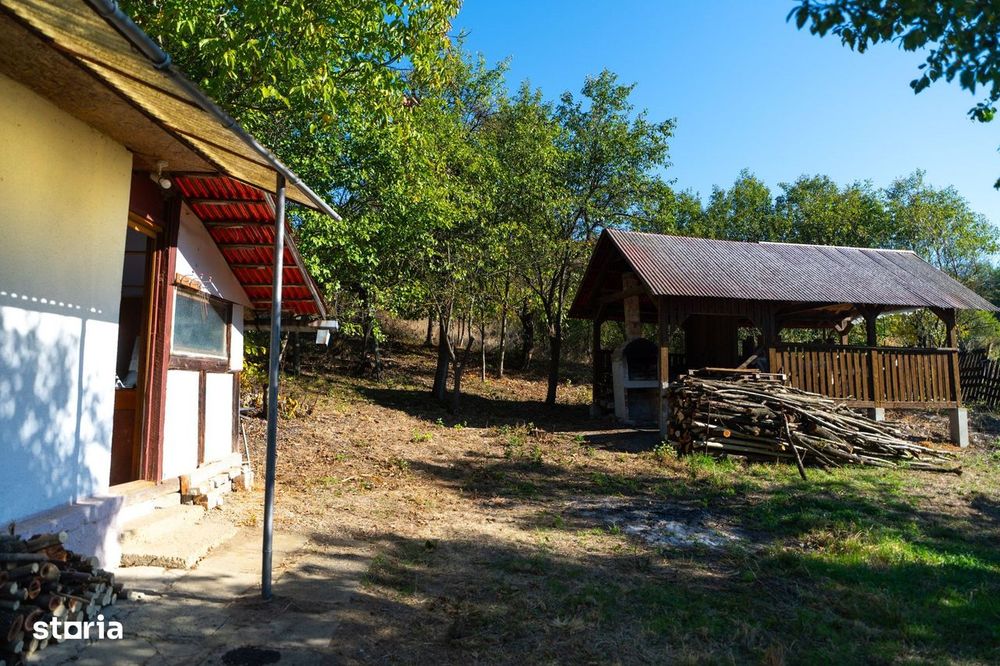 Teren Parcelabil I 11400 MP I Corpadea