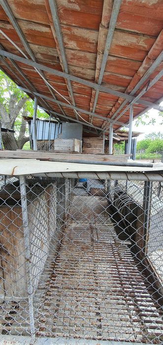 Зайчарници с.Скутаре Пловдивско