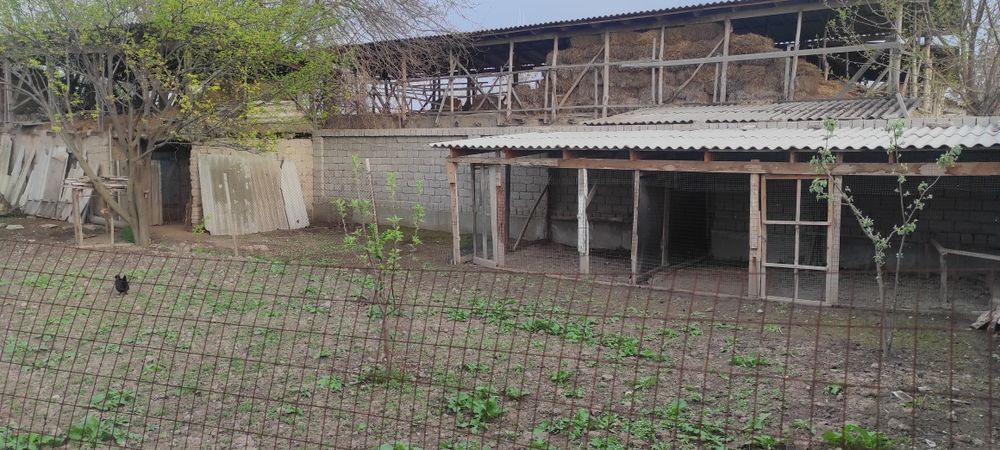 Уй сотилади, Достобод шахрида