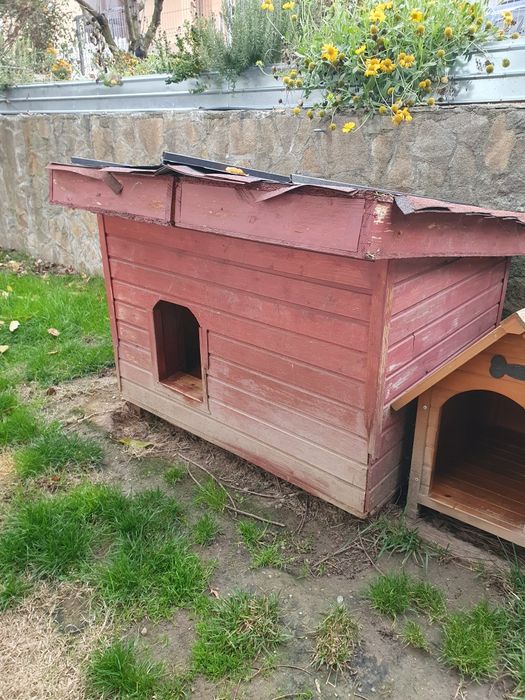 Cusca caine mic/mediu cu doua camere