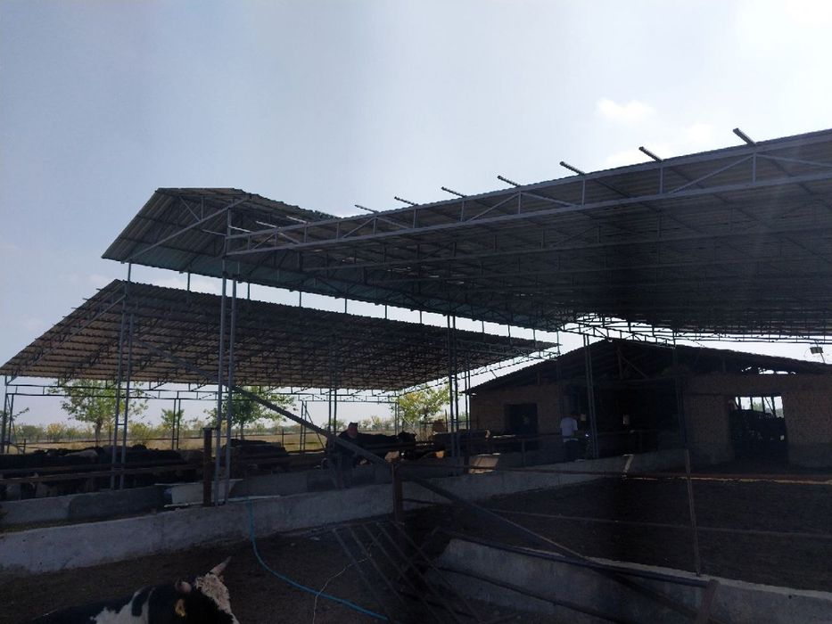 Тез фирма ясаш том навес парник