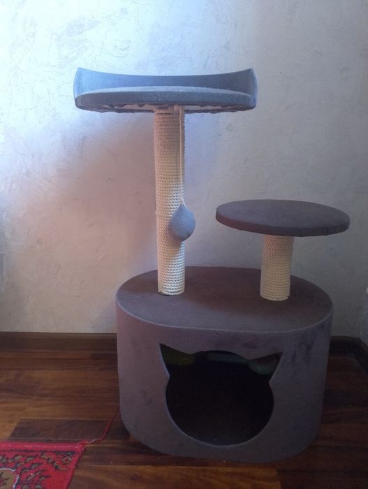 Мушуклар уйчаси сотилади жуда чаройли ва мустахкам