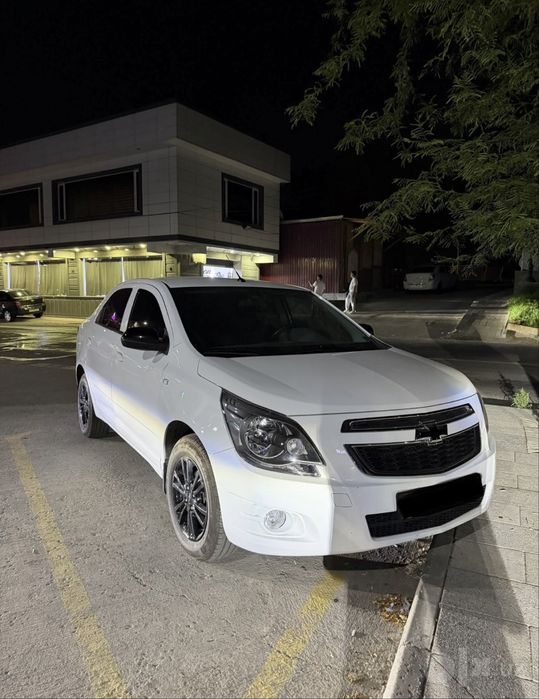 Cobalt Midnight 2025 Tozza