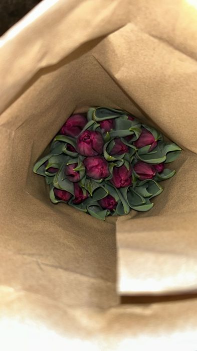 Тюлпаны оптом и в розницу