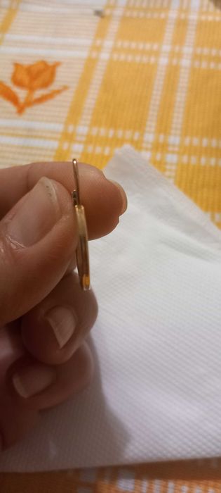 Изгубена златна обица