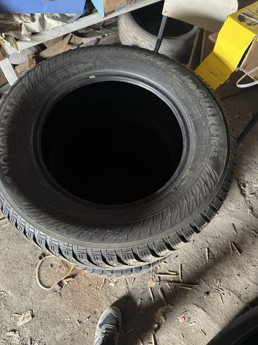 Зим шип балон на крузака