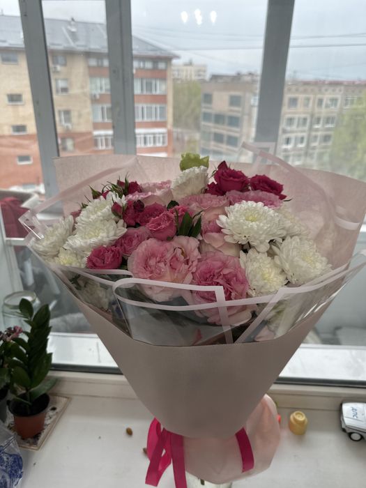 Хххххххххххххххх