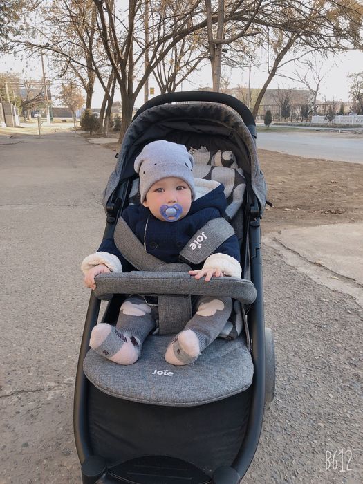 Коляска детская прогулочная Joie