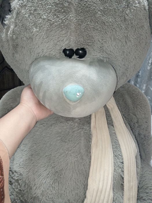 Teddy ayiq yangi hali oladiganlar aloqaga chiqsin