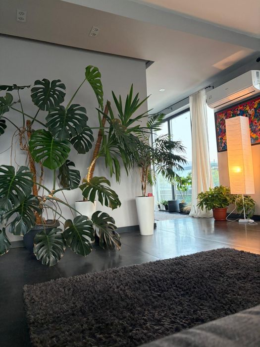 Penthouse de inchiriat in Borhanci