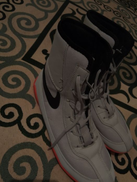 Баксиорка Баксиорка