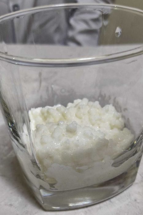 Ciupercă  Kefir (chefir) de lapte două porții