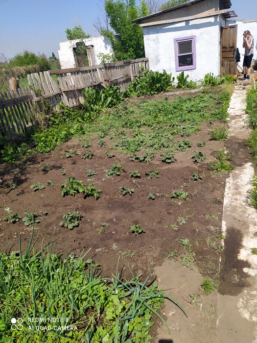 Сдам ПОЛдачи в аренду