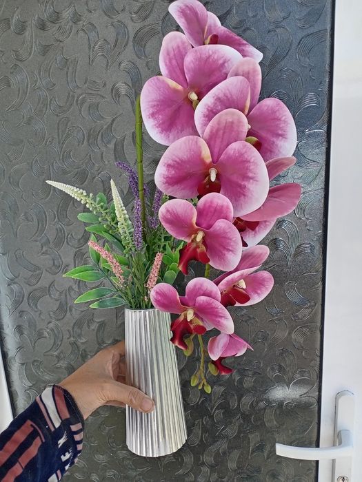 Суний ва декоратив гуллар. Навои шахар. Ассортимент мавжуд