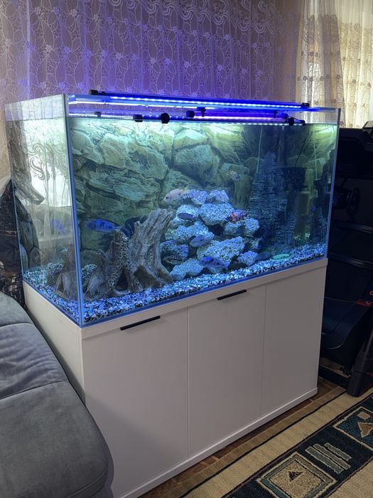 Аквариум на 420 литров .